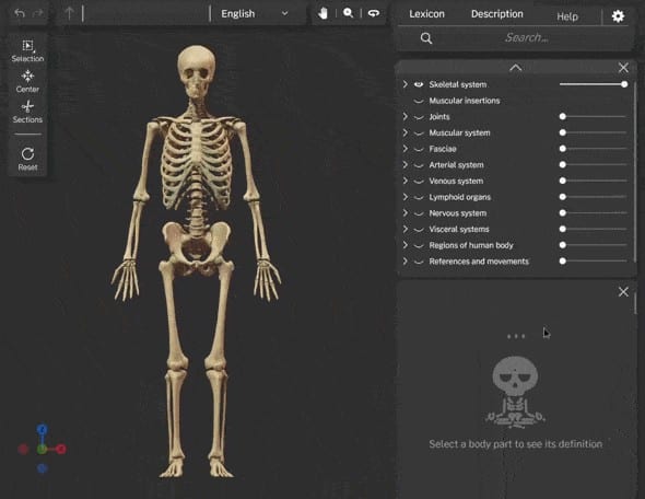 Z-Anatomy software interface