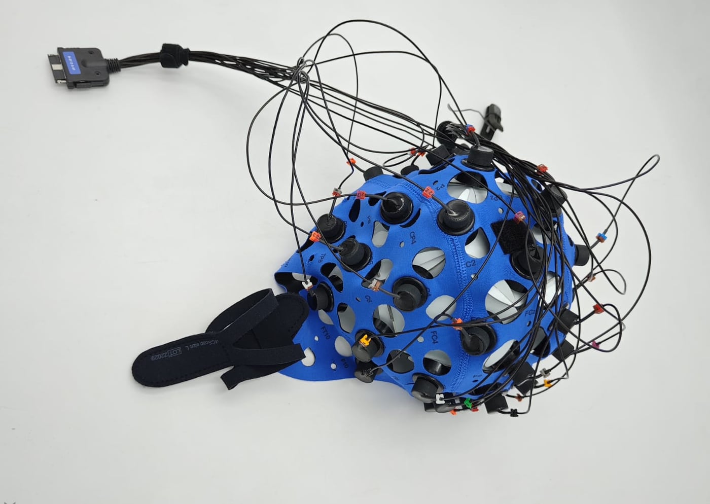 The Bitbrain Versatile 32 EEG cap, with its 32 wired electrodes